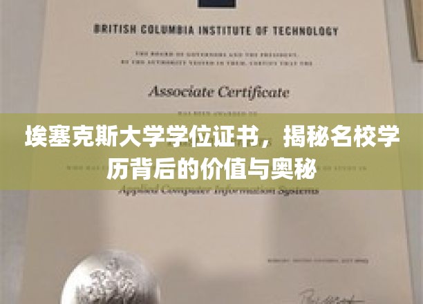 埃塞克斯大学学位证书，揭秘名校学历背后的价值与奥秘