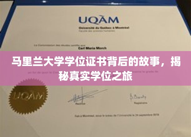 马里兰大学学位证书背后的故事，揭秘真实学位之旅