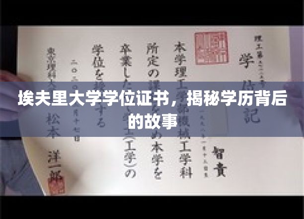 探寻埃夫里大学学位证书背后的传奇历程