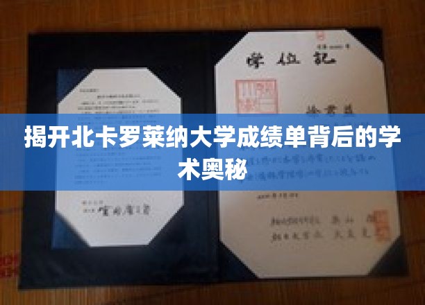 揭开北卡罗莱纳大学成绩单背后的学术奥秘
