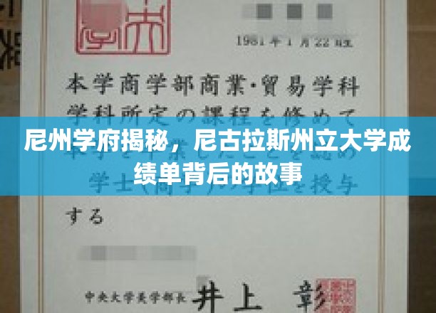 揭开尼古拉斯州立大学成绩单背后的学术奥秘
