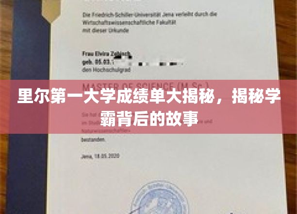 里尔第一大学成绩单大揭秘，揭秘学霸背后的故事