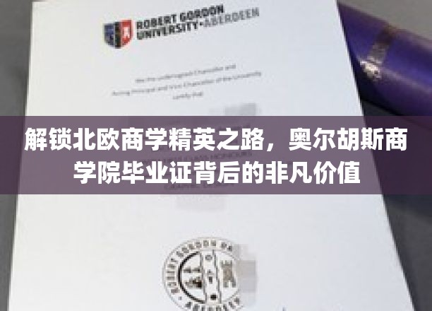 北欧精英摇篮，奥尔胡斯商学院学历，开启非凡职场之旅
