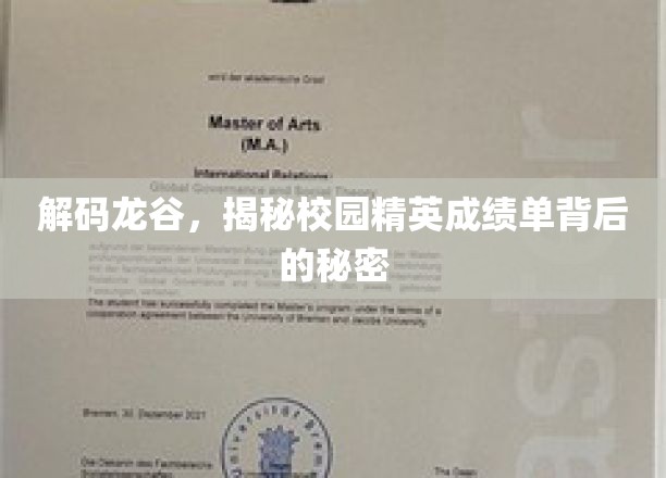 龙谷秘境，揭开校园学霸成绩单的神秘面纱