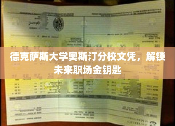 掌握德克萨斯大学奥斯汀分校文凭，开启职场精英之门