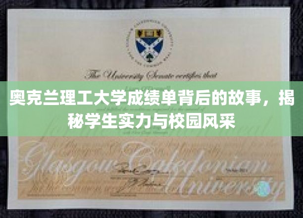 奥克兰理工大学成绩单背后的故事，揭示学生实力与校园风采