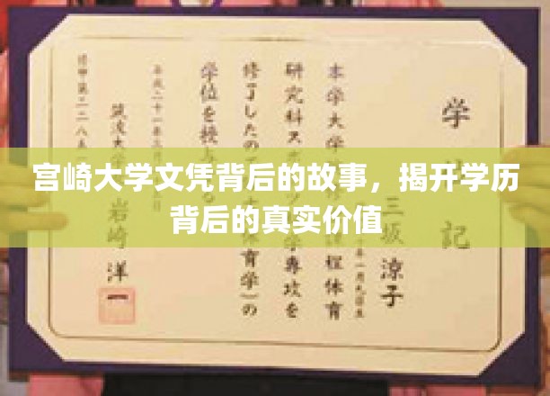 宫崎大学文凭背后的秘密，探寻学历的深层价值
