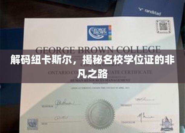 解码纽卡斯尔，揭秘名校学位证的非凡之路