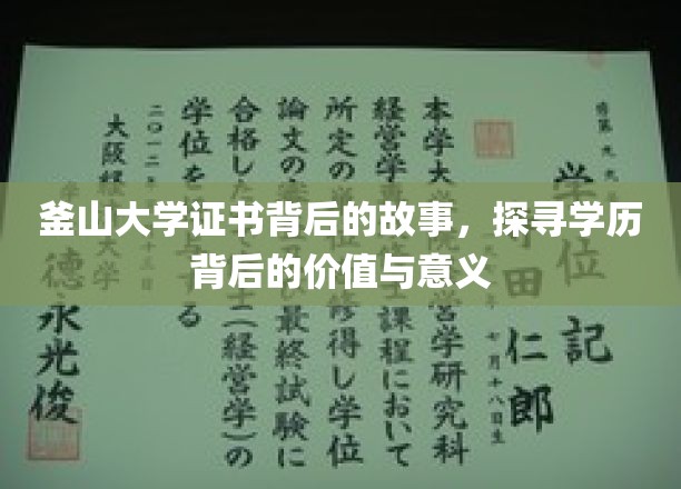 釜山大学证书背后的传奇，揭秘学历背后的非凡价值