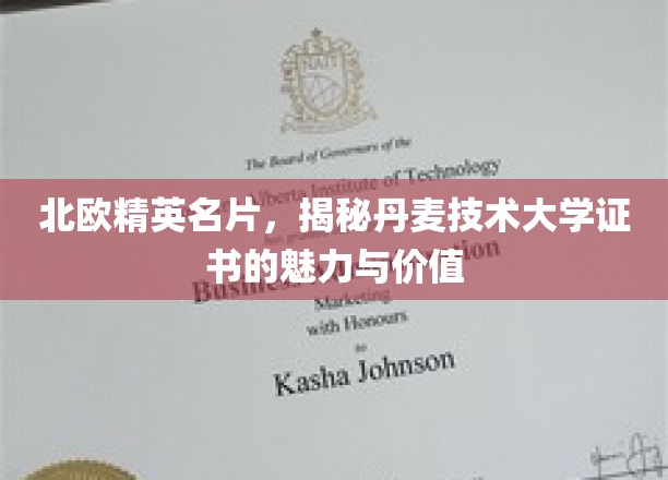 北欧精英名片，揭秘丹麦技术大学证书的魅力与价值