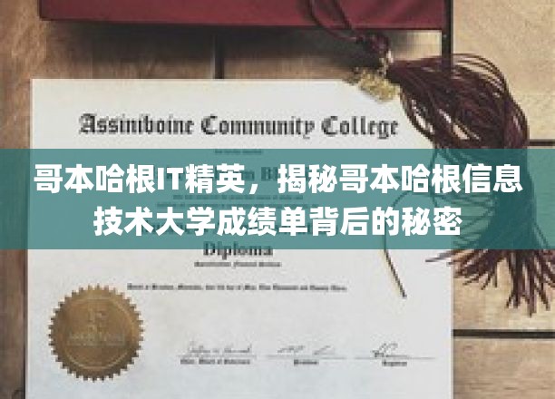 哥本哈根IT精英探秘，揭秘哥本哈根信息技术大学成绩单背后的奥秘