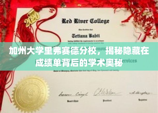 加州大学里弗赛德分校，揭秘隐藏在成绩单背后的学术奥秘