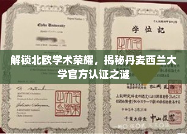 探寻丹麦西兰大学神秘认证，北欧学术之光闪耀揭秘