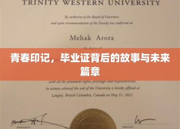 时光见证，毕业证书背后的青春传奇与梦想启航