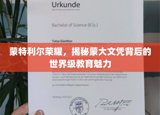 蒙特利尔荣耀之光，探寻蒙大文凭背后的全球教育风采
