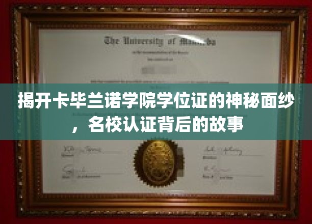 揭开卡毕兰诺学院学位证的神秘面纱，名校认证背后的故事
