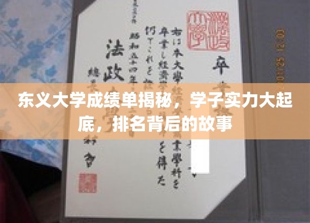 东义大学成绩风云录，揭秘学子实力与排名背后故事