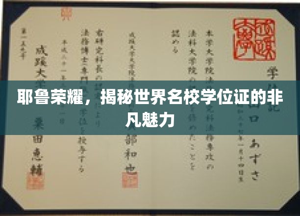 耶鲁之光，探寻世界顶级学府学位证书的神秘魅力