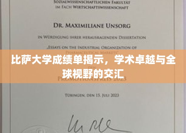 比萨大学成绩单解码，卓越学术与全球视野的完美融合