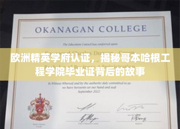欧洲精英学府认证，揭秘哥本哈根工程学院毕业证背后的故事