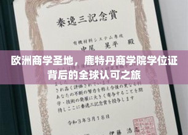 鹿特丹商学院，跨越欧陆的学位证传奇，全球精英认可的求学之旅
