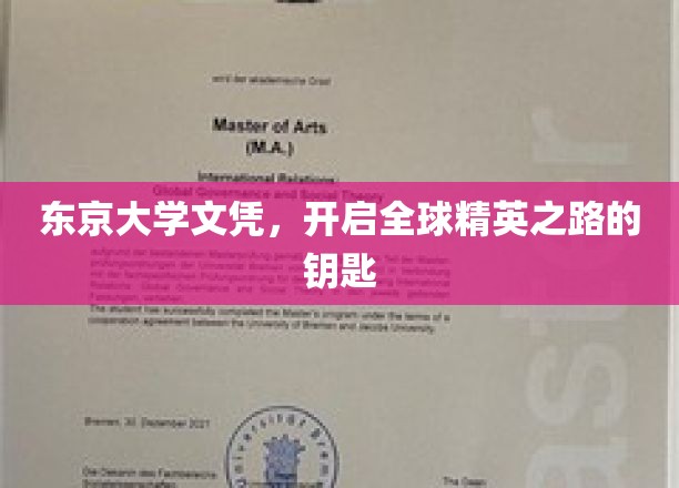 东京大学文凭，开启全球精英之路的钥匙