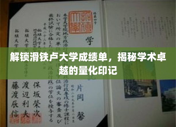 解锁滑铁卢大学成绩单，揭秘学术卓越的量化印记