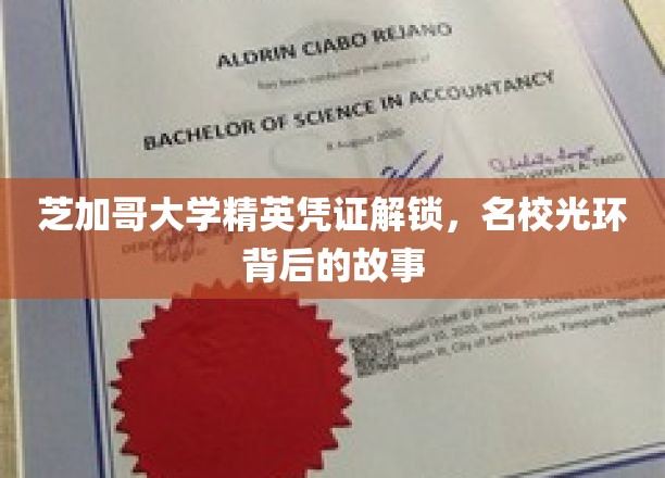 芝加哥大学精英凭证解锁，名校光环背后的故事
