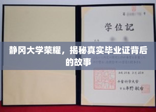 静冈大学成就揭秘，探寻毕业证书背后的辉煌传奇