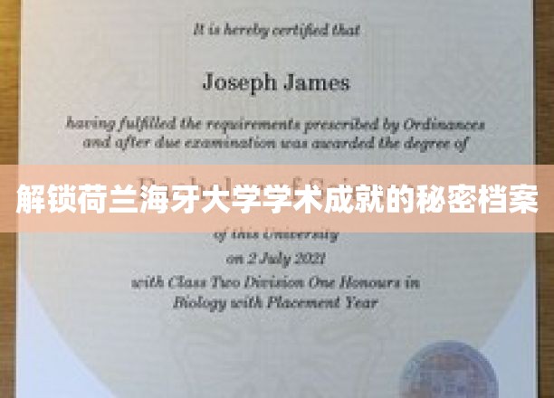 荷兰海牙大学，揭秘非凡学术成就背后的传奇档案