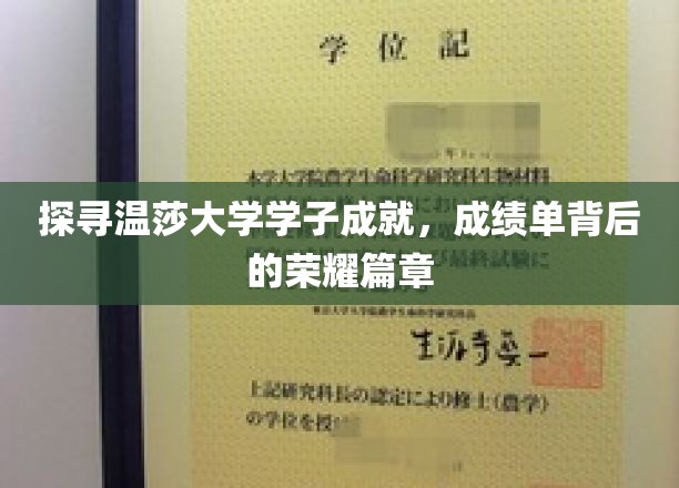 揭开温莎大学精英风采，学子辉煌背后的故事
