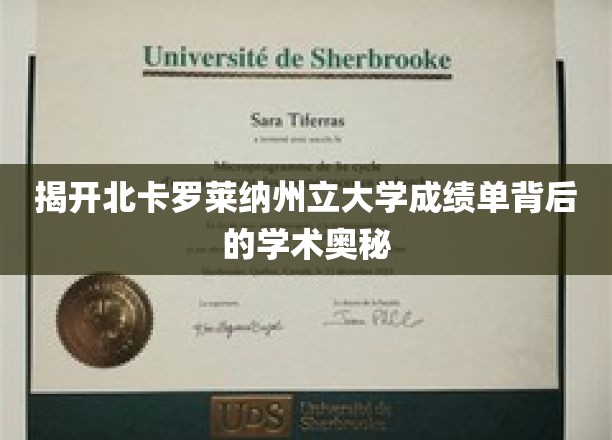 揭秘北卡罗莱纳州立大学成绩单背后的学术奥秘