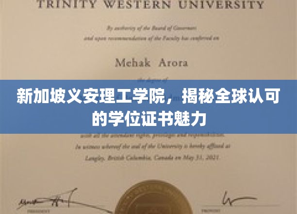 新加坡义安理工学院，展现全球认可的学位证书风采