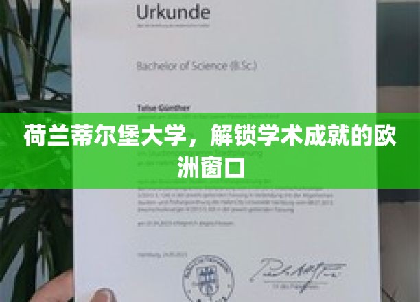 荷兰蒂尔堡大学，解锁学术成就的欧洲窗口