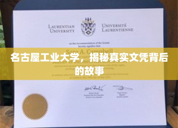 名古屋工业大学文凭之谜，揭开学历背后的传奇故事