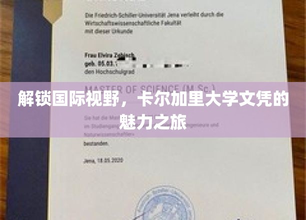 环游世界，解锁加拿大卡尔加里大学文凭的全球通行证