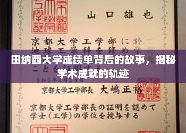 田纳西大学成绩单，揭开学术辉煌的神秘面纱