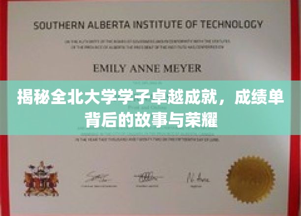 全北学子非凡足迹，探寻成绩单背后的荣耀篇章