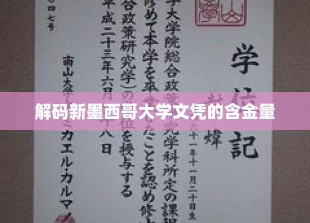 解码新墨西哥大学文凭的含金量