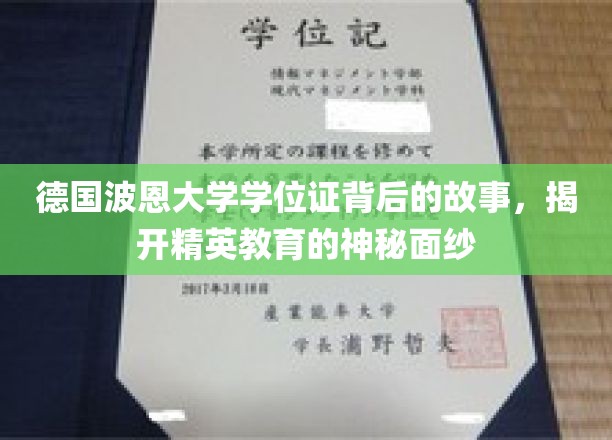 波恩大学学位证之谜，揭秘精英教育的真实面貌