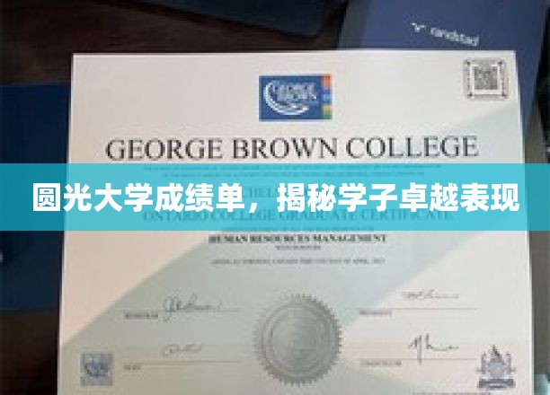 圆光学子风采展，卓越成绩单背后的故事