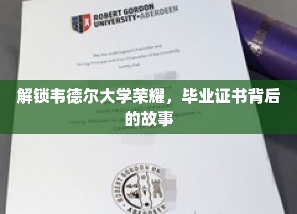 解锁韦德尔大学荣耀，毕业证书背后的故事