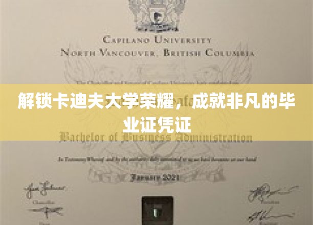 卡迪夫荣耀一纸，成就未来非凡之路