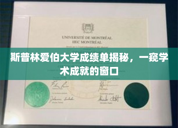 斯普林爱伯大学成绩单，解锁学子卓越成就的秘密之门