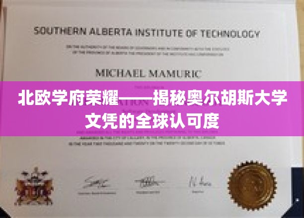北欧精英教育之光，奥尔胡斯大学学位的全球魅力揭秘