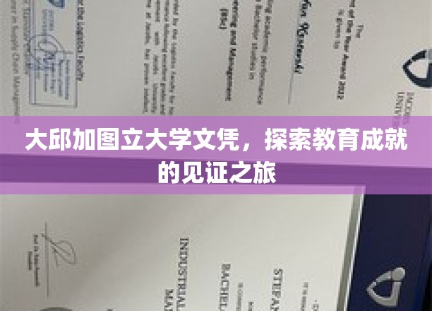大邱加图立大学文凭背后的传奇故事，一场教育成就的深度之旅