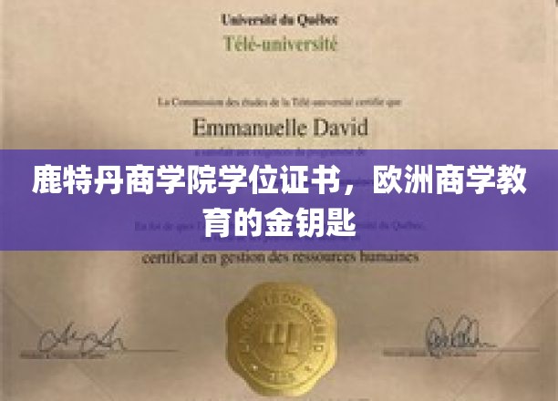 鹿特丹商学院学位，开启欧洲商学教育璀璨之门