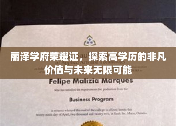 丽泽学府荣耀证，探索高学历的非凡价值与未来无限可能