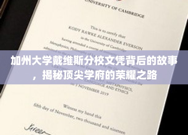 揭开加州大学戴维斯分校辉煌成就的神秘面纱