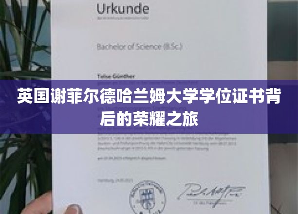 揭开谢菲尔德哈兰姆大学学位证书背后的辉煌篇章